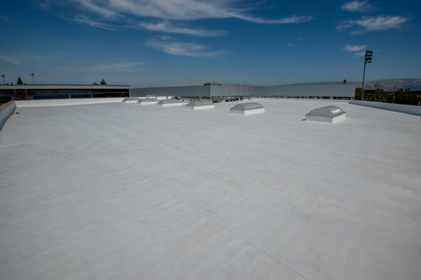 Best Roof Maintenance and Cleaning  in Wallace, ID